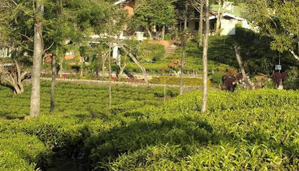 Teanest By Nature Resorts And Stays Coonoor Exterior foto